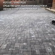 Наші роботи 