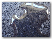 impregnat dry bruk3